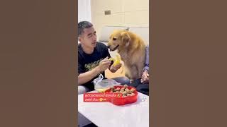 357516489 6157243481041204 5598441548892533322 n