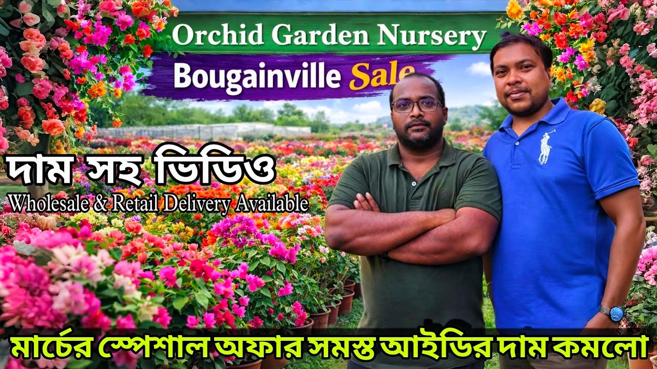 স্পেশাল ধামাকা বোগেনভিলিয়া সেল নতুন সমস্ত আইডির দাম কমে গেলো অবিশ্বাস্য / kolkata Nursery visit 