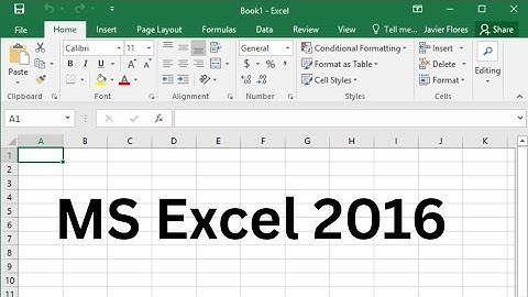MS Excel 2016 | Class 5 Computer Lesson | Learn Spreadsheet Basics for Kids