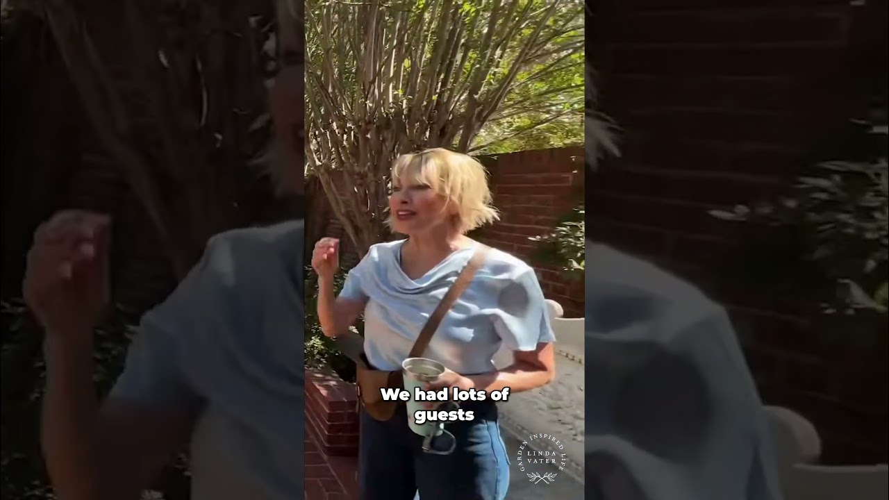 Свадебные воспоминания в июне. Прекрасное место проведения свадьбы на открытом воздухе. 