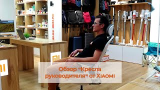 Обзор кресла руководителя Xiaomi Mijia Ergonomics Chair Silver