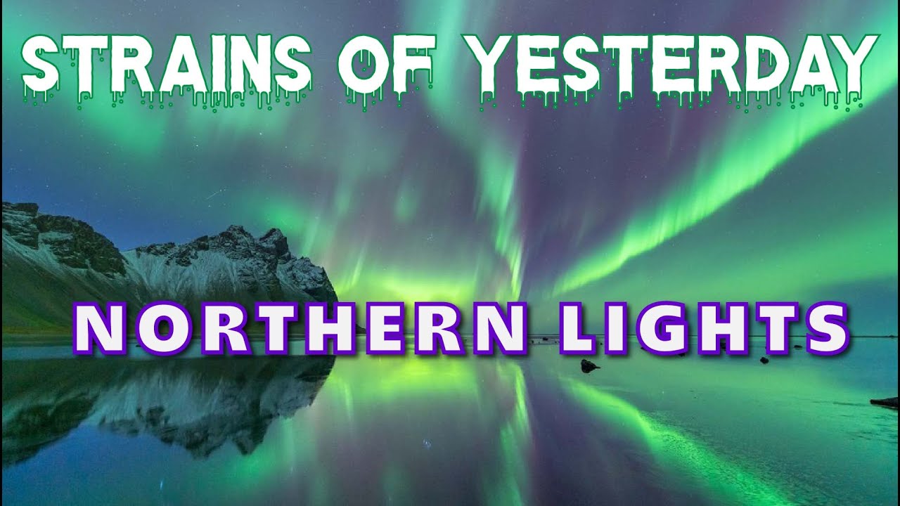 Strains of Yesterday - Northern Lights