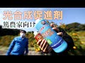 光合成促進講座【ペンタキープで収量・食味UP?】