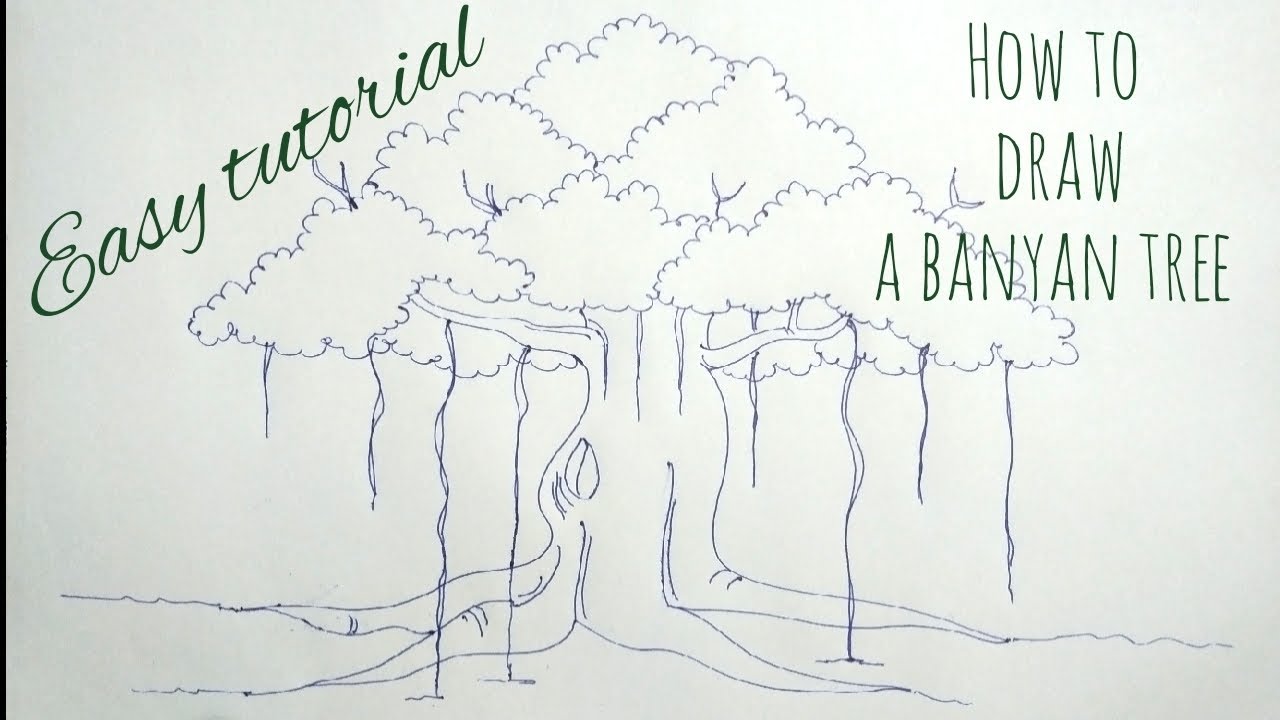 How to draw a banyan tree l easy tutorial l step by step - YouTube