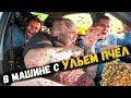 Закрылись в машине С УЛЬЕМ ПЧЕЛ | ОПАСНЫЙ ЭКСПЕРИМЕНТ