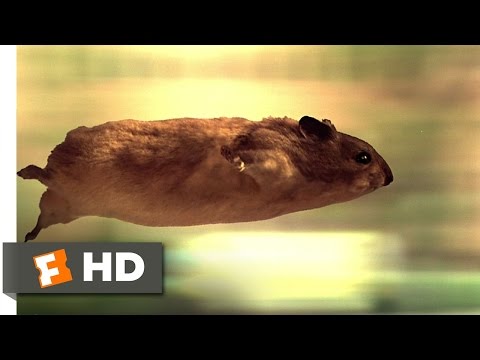 the-nutty-professor-(1/12)-movie-clip---hamster-havoc-(1996)-hd