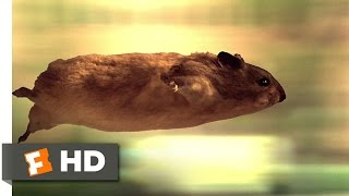 The Nutty Professor (1/12) Movie CLIP - Hamster Havoc (1996) HD