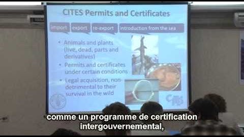 Overview of CITES and Appendix II Requirements and Marine Species in CITES (Spanish w/French Subs)
