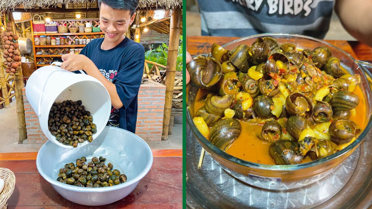 Snail eat egg Delicious Snail Curry recipe cook with country style