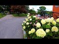 Historic Congress Park Walking Tour | Saratoga NY