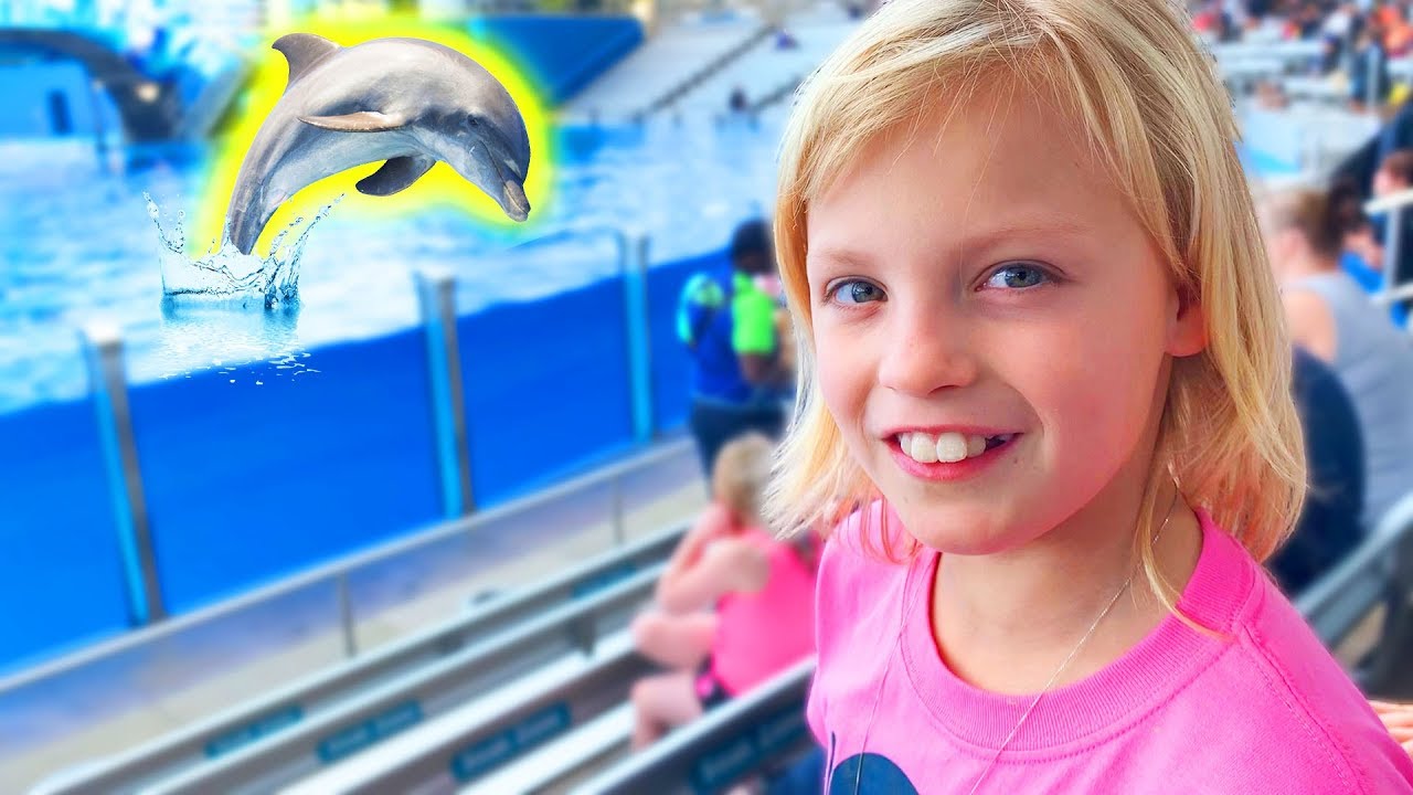 Payton And The Ninja Kidz Go To SeaWorld YouTube Payton And The Ninja Kidz Go To SeaWorld YouTube