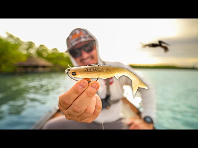 Biggest Snook of the Year on NEW NLBN K-Tail + Boat Update + New Setup 