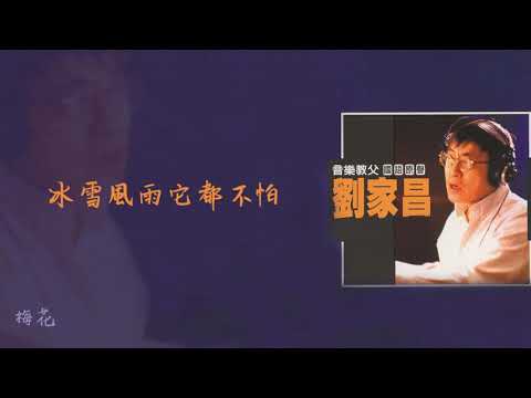 【Official Audio Lyrics Video】劉家昌《音樂教父劉家昌》-〈梅花〉官方動態歌詞版MV