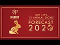 2020 Animal Signs Forecast: RABBIT [Joey Yap]