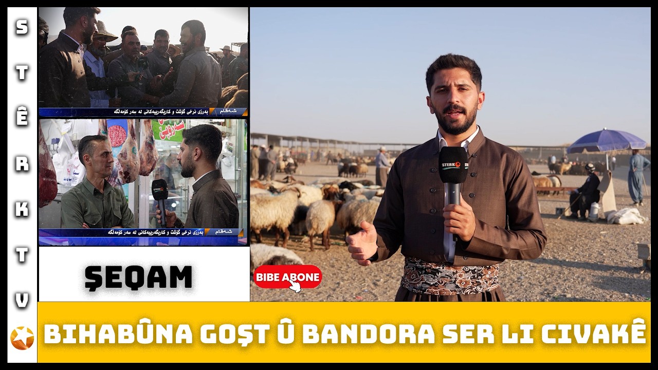 Şeqam - Bihabûna Goşt û Bandora Li Ser Civakê