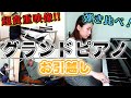 【検証】ピアノって運送したらどれくらい音が狂うの?【貴重映像】