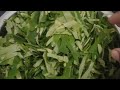 अरबी के पत्ते के पकोड़े // मसाला अरबी पत्तों के पत्तोड़// #arbipakoda #arbirecipe #ytviral #new