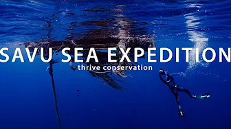 Thrive's Savu Sea Expedition