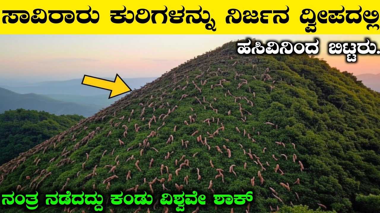 4000 Sheep Were Left Alone on an Island — 75 Years Later, Nature Did the Unthinkable|Rj Facts 