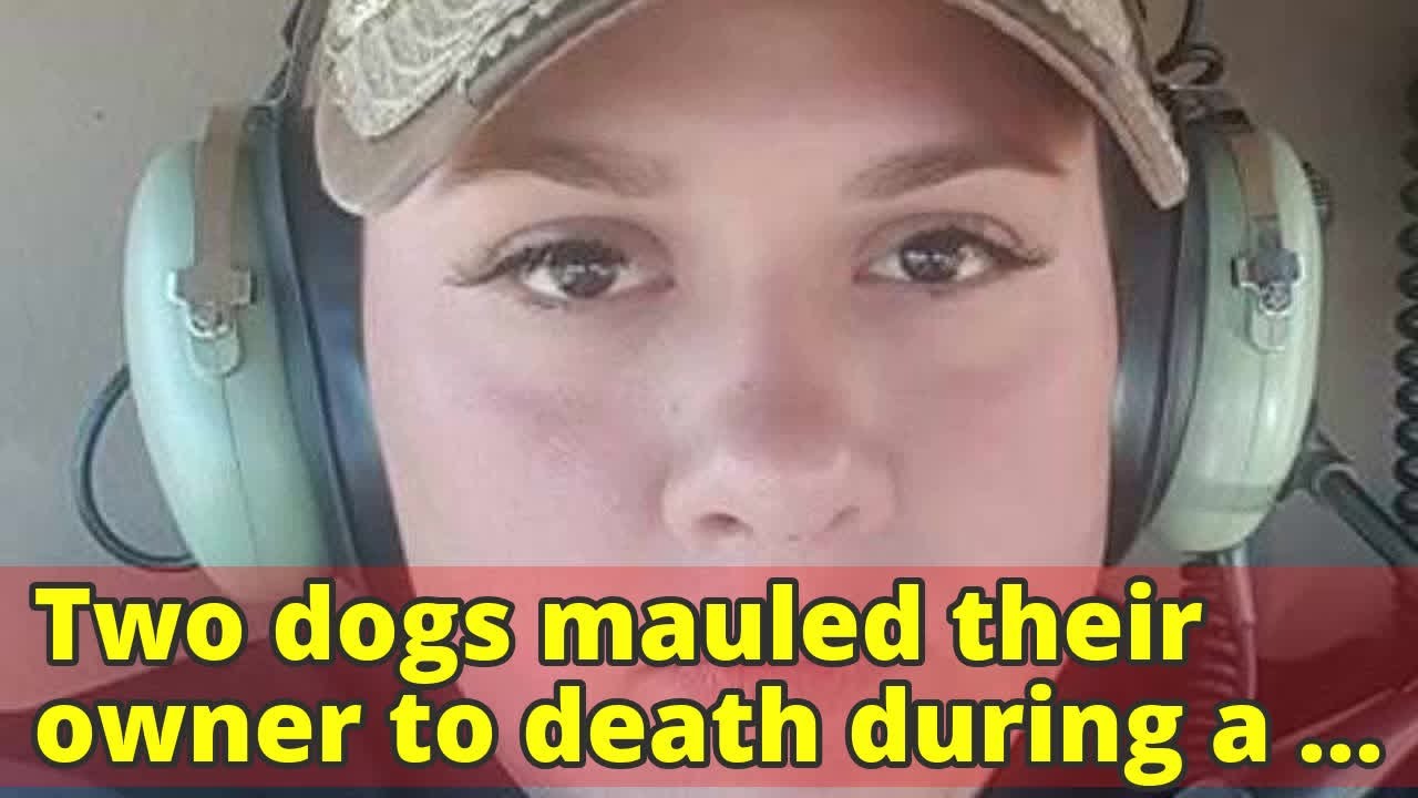 Two dogs mauled their owner to death during a walk in Virginia woods ...