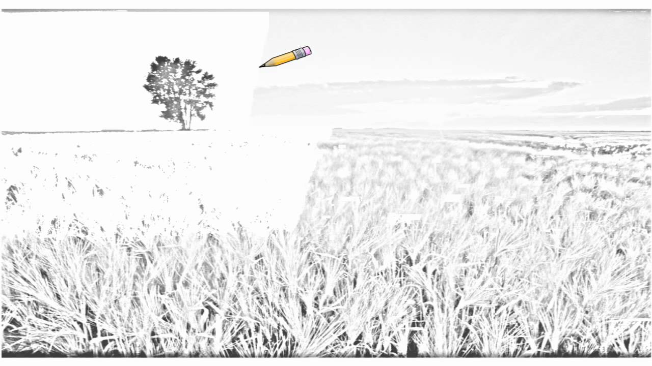 Featured image of post Drawing Of Barley Crop Barley stock vectors clipart and illustrations