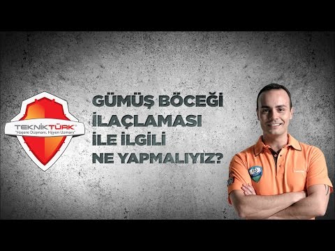 Gümüş böceği ilaçlaması ile ilgili ne yapmalıyız?