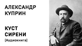 Сочинение по теме Куприн А. И. - «Чистый свет высокой нравственной идеи» в русской литературе