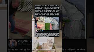 Scientists Lost Their Favorite Curb