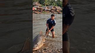 "I caught a big grass carp fish from the river."