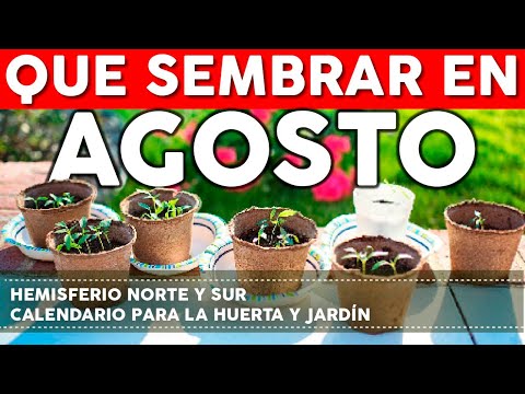 Video: Agosto en EE. UU.: guía meteorológica y de eventos