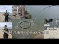 GATOR BLUE AND STRIPER SLAYFEST!!! BLUEFISH LIMIT!! HUGE FISH!!! (5/18/24)