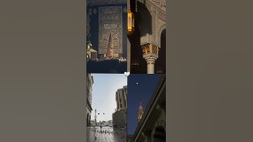 تلاوة بصوت رهيب للشيخ بدر التركي  🤍🫀  #بدر_التركي   #القرآن_الكريم #تلاوة_خاشعة