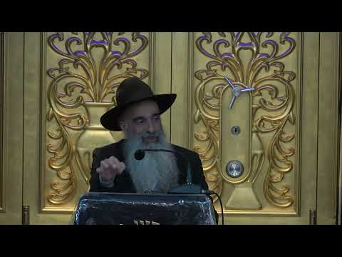 הרב מאיר דוד שמואלי - קדושת בתי כנסיות ובתי מדרשות