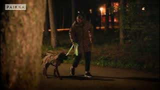 PAIKKA Glow Leash
