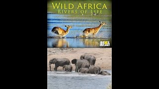 Дикие реки Африки / Wild Africa. Rivers of Life Серия 3 Хуаниб / Hoanib River