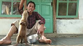 Manfaat BATU MUSTIKA RATU BERANG BERANG