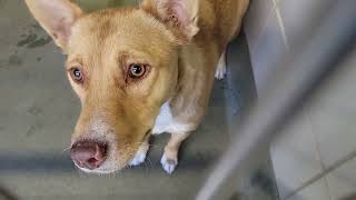 acs A655392