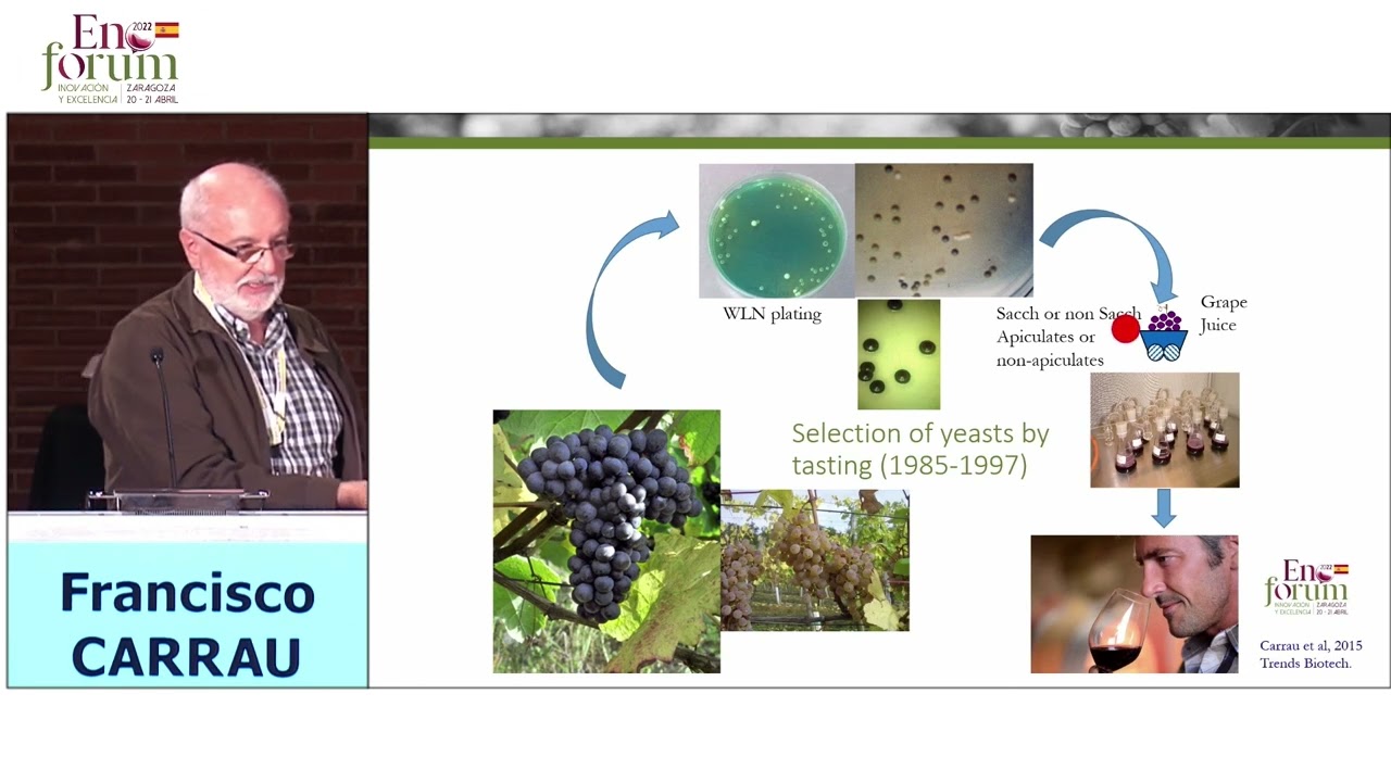 (EN) Enoforum Zaragossa 2022 - Francisco Carrau - Selection of Hanseniaspora vineae for fermentation