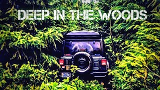 Solo Camp DEEP In The Forest  Exploring Abandoned Roads