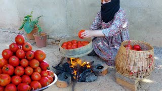 موسم الطماطم/ تجفيف الطماطم الحلوة وتحضير الطبخ في الغابة
