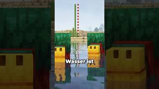 Dieser Minecraft Mob verwandelt sich im Wasser…?!#minecraft #minecraftshorts #maggus #springonshorts