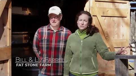 Maple Syrup in Connecticut