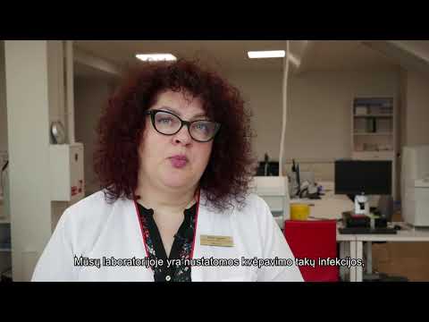 Video: Kvėpavimo Takų Bakterinė Infekcija Triušiams
