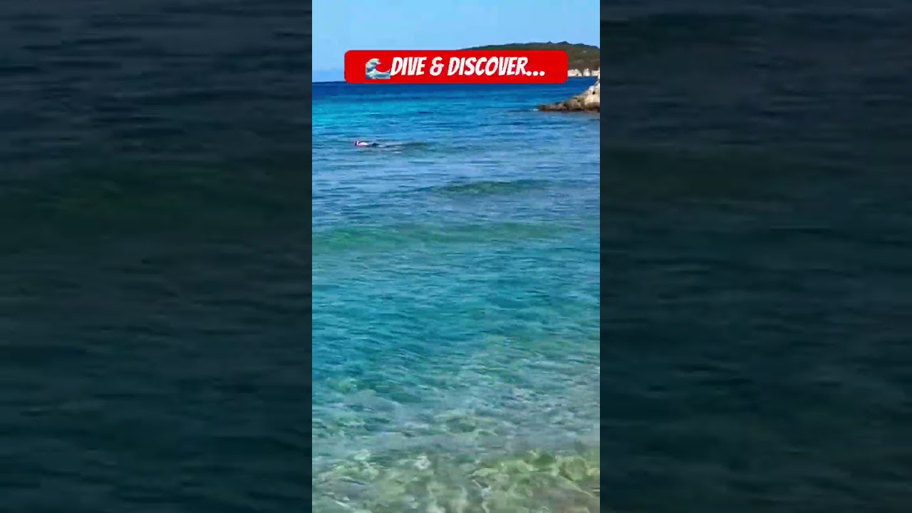 Discover a paradise! Dive into turquoise waters & soak up the sun on this breathtaking beach 🧜‍♀️🏖