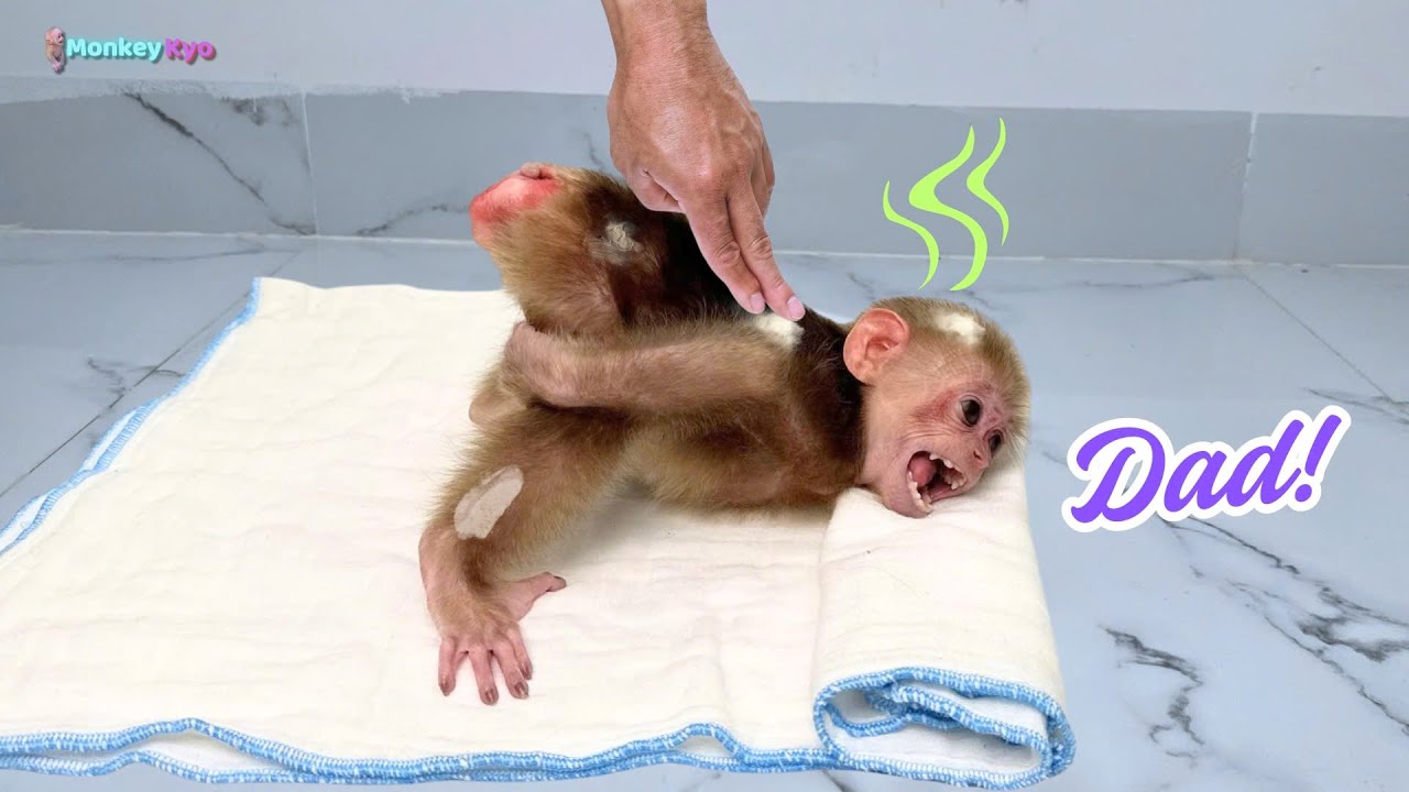 Poor Kyo! Waiting forever for Dad to come home so she can take a bath!