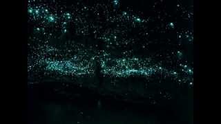 Novacore - Glow Worm @OfficialNovacore