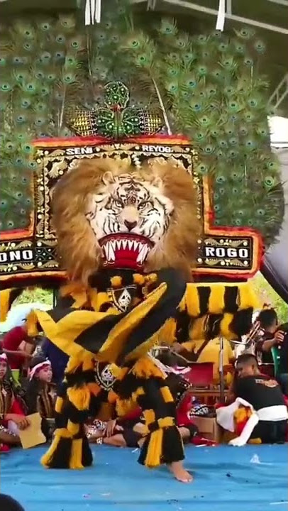 Story Wa 30detik/reog ponorogo jawa timur#