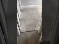 Not all days come out the way you want them too #asmr #cleaning #asmrcleaning #satisfying