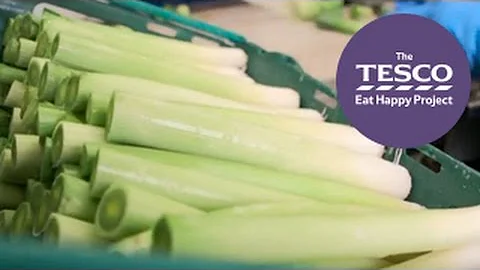 Learn about the Farm to Fork journey of Long Leeks (Trailer)