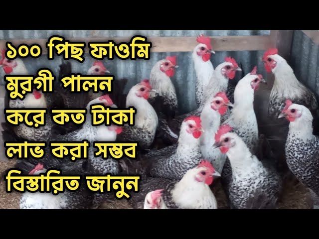 Semiz ayollar porno video onlayn Qaniydi Luna Lovegud